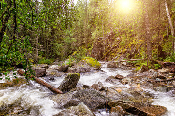 Thresholds and waterfall of mountain river
