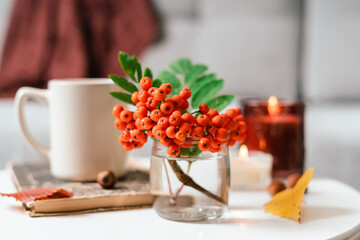 Still life book, candle, rowan berry and a cup of tea or coffee in the living room on a table, home decor in a cozy house. Autumn weekend concept, blanket and plaid. Fallen leaves and home decoration