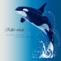 vector drawing of a killer whale jumping out of the water  - 457063597