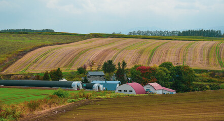 Rural scenery of Furano, Japan
