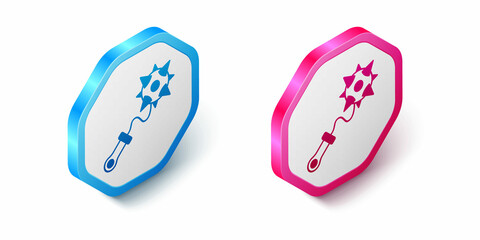 Isometric Medieval chained mace ball icon isolated on white background. Morgenstern medieval weapon or mace with spikes. Hexagon button. Vector