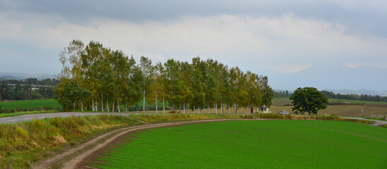 Rural scenery of Furano, Japan