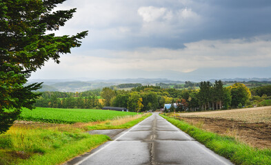 Rural road in Furano, Japan