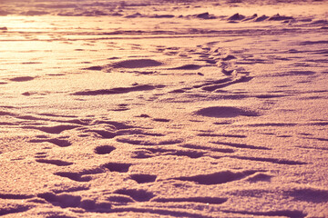 Textured background of footprints on snow in sunlight