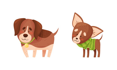 Funny Dog with Collar as Four-legged Friend and Domestic Pet Vector Set