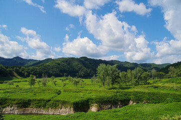 Fototapeta na wymiar 緑の山々に囲まれた夏の錦秋湖