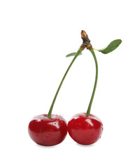 Fresh ripe cherries with water drops on white background