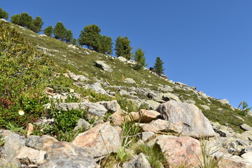 Aufstieg zum Neberkogel