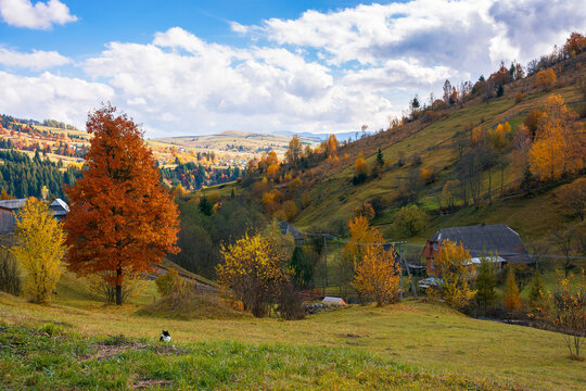 rural landscape in autumn. beautiful scenery with hills, meadows and mountain ridge in the distance. sunny weather with clouds on the sky