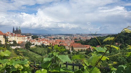 Fototapeta na wymiar panorama Praha Praga