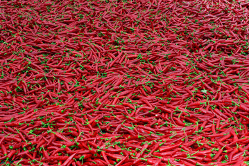 Fototapeta premium Red papers