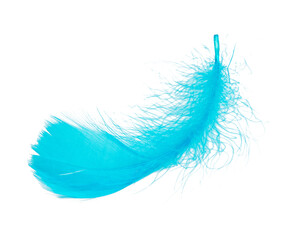 Elegant light blue feather beautiful isolated on he white background