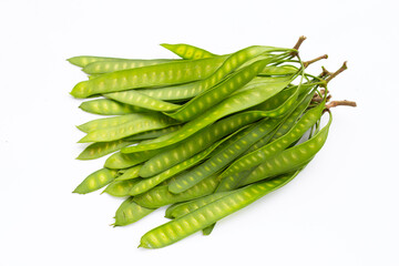 Young fruit of Leucaena leucocepphala on white background.