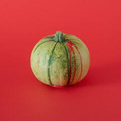 green pumpkin with blood against red background. helloween minimalism