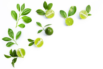 Obraz premium Fresh limes with green leaves on white background.