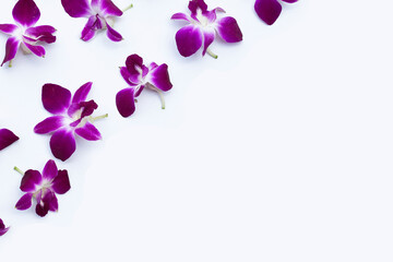 Naklejka na ściany i meble Beautiful purple orchid flowers on white background.