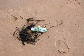 angespülte op-maske und seetang am strand