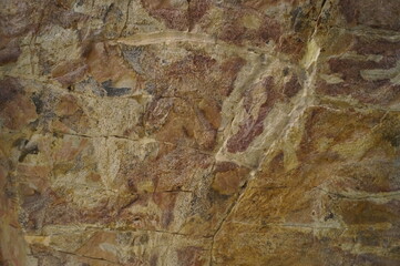 Close-up of a museum piece - ancient fossils (fish skeleton) in layers of limestone