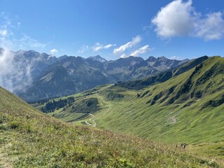 Obraz premium alpine meadow in the mountains