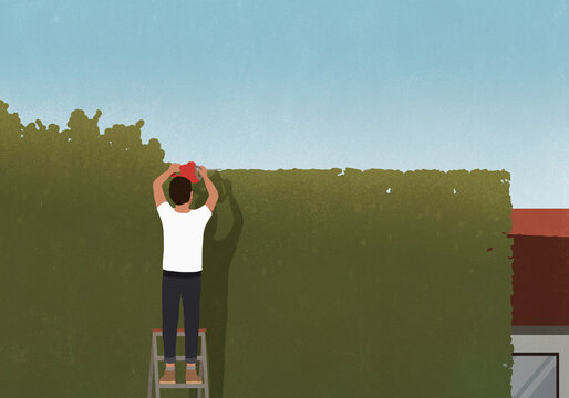 Man with saw trimming hedge
