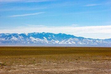 the border of the steppe of Kazakhstan