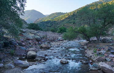 Water flowing down the mountain