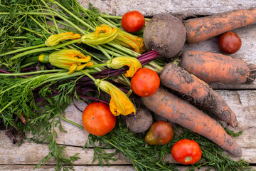 Fresh organic vegetables from the garden close-up on a wooden background, beetroot and carrot with tops and pumpkin flowers and red tomatoes