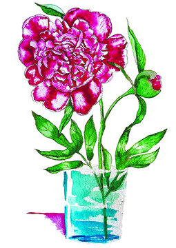 Peony