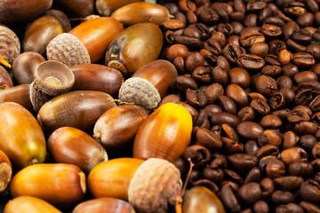 Background of ripe acorns and roasted coffee beans