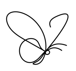 Butterfly line icon, isolated on the white