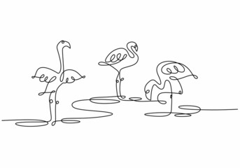 Single continuous one line drawing of three tropical bird flamingos isolated on white background. One continuous line drawing of three egrets standing on their leg