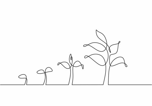 Continuous one line drawing Plant growth process. Plants grow isolated on white background or plant seed, growing.
