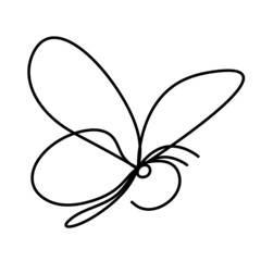 Butterfly line icon, isolated on the white