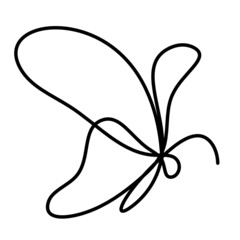 Butterfly line icon, isolated on the white. Vector