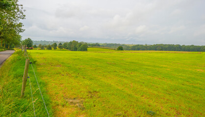 Fields and trees in a green hilly grassy landscape under a blue sky in sunlight in summer, Voeren, Limburg, Belgium, September, 2021