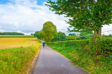 Fields and trees in a green hilly grassy landscape under a blue sky in sunlight in summer, Voeren, Limburg, Belgium, September, 2021