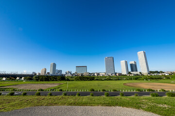 Obraz premium 東京の多摩川の河川敷