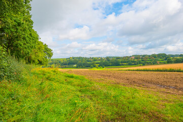 Fototapeta premium Fields and trees in a green hilly grassy landscape under a blue sky in sunlight in summer, Voeren, Limburg, Belgium, September, 2021