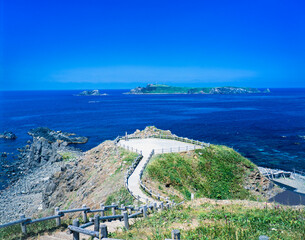 Naklejka premium 北海道 礼文島 スコトン岬より海馬島（トド島）