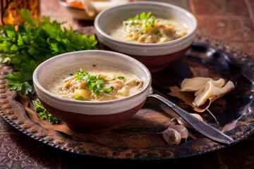Vegan cabbage soup with oyster mushrooms with vegetables