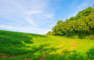 Fields and trees in a green hilly grassy landscape under a blue sky in sunlight in summer, Voeren, Limburg, Belgium, September, 2021