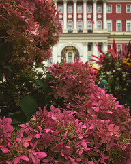 Fototapeta na wymiar Blooming Moscow