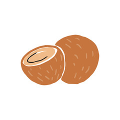 Vector doodle abstract coconut illustration, isolated on white background. Boho trendy illustration, hand drawn texture. Design elements.