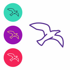 Set line Bird seagull icon isolated on white background. Set icons colorful. Vector