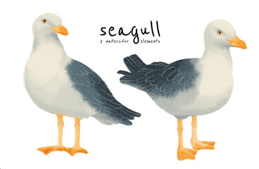 Seagull birds watercolor styles set