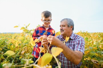 Grandfather and grandson check harvest of soy. People,farming, and agriculture concept.