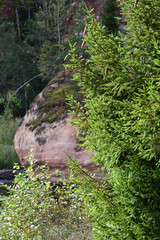 Fototapeta premium red sand rock formations in nature with moss and trees
