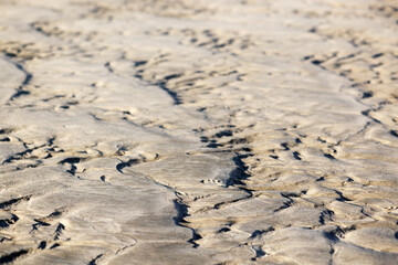 Sand ripples on the North Sea with no people