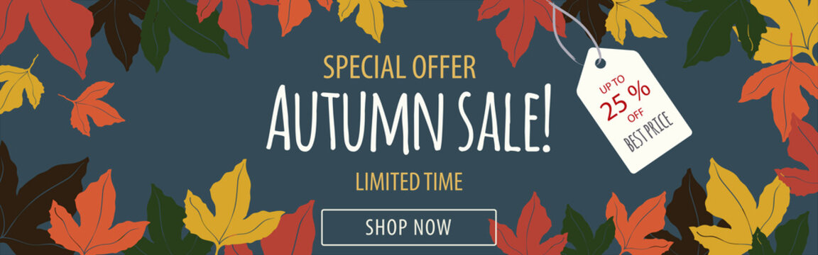 Horizontal banner for autumn season sales. Special offer leaflet with fall maple leaves, label and text up to 25% off. Texts with Limited time and Best price. Blue, golden, brown, green and red tones.
