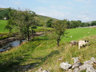 Beautiful green landscape in the Yorkshire Dales